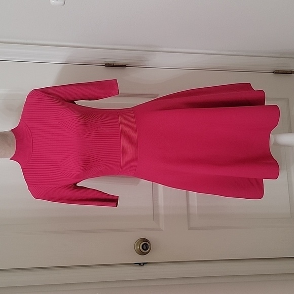 Ted Baker, Size 3 (US 8-10) Viviiyy Engineered Skater Dress,  Hot Pink,  EUC - Picture 1 of 16